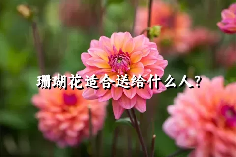 珊瑚花适合送给什么人？