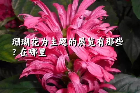 珊瑚花为主题的展览有那些？在哪里