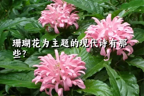 珊瑚花为主题的现代诗有那些？