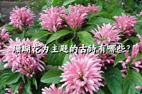 珊瑚花为主题的古诗有哪些？