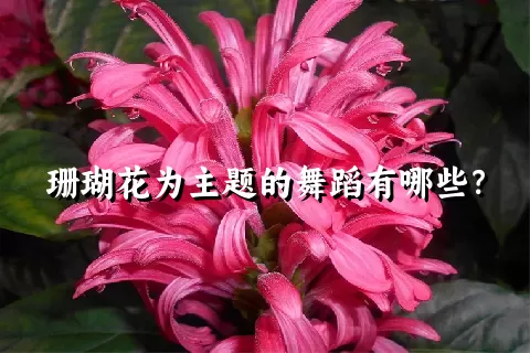 珊瑚花为主题的舞蹈有哪些？