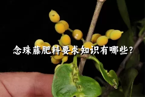 念珠藤肥料要求知识有哪些？