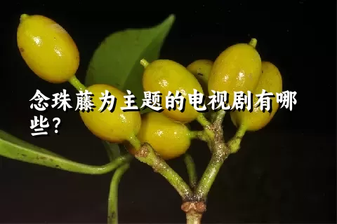 念珠藤为主题的电视剧有哪些？