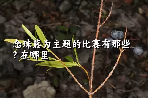 念珠藤为主题的比赛有那些？在哪里