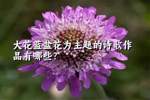 大花蓝盆花为主题的诗歌作品有哪些？