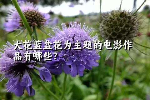 大花蓝盆花为主题的电影作品有哪些？