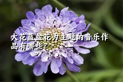 大花蓝盆花为主题的音乐作品有哪些？