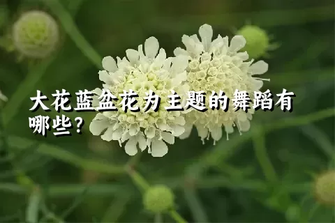 大花蓝盆花为主题的舞蹈有哪些？