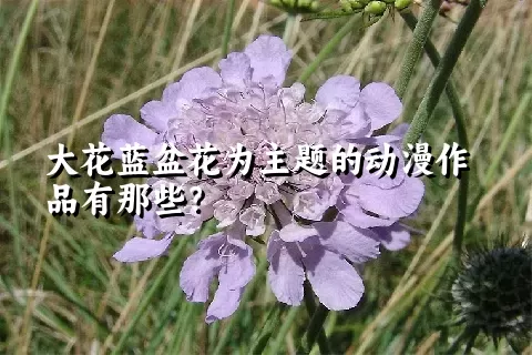 大花蓝盆花为主题的动漫作品有那些？