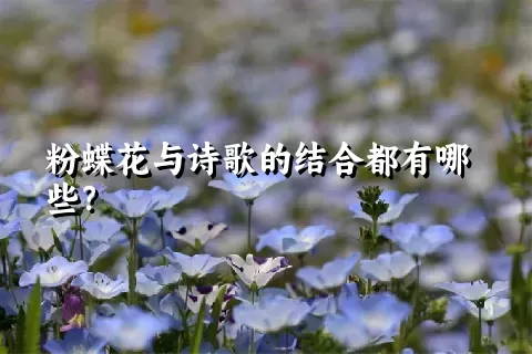 粉蝶花与诗歌的结合都有哪些？