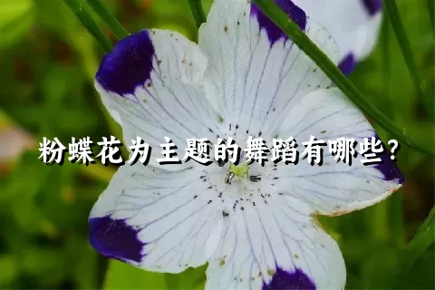 粉蝶花为主题的舞蹈有哪些？