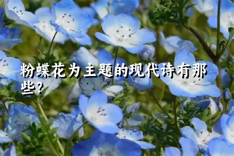 粉蝶花为主题的现代诗有那些？