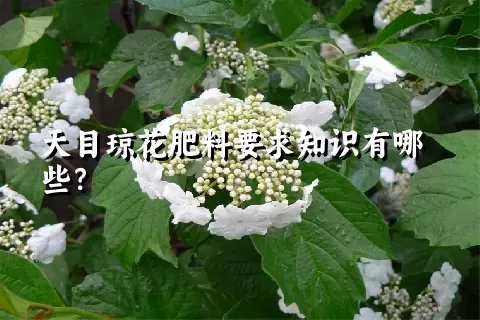 天目琼花肥料要求知识有哪些？