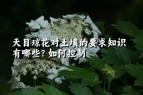 天目琼花对土壤的要求知识有哪些？如何控制