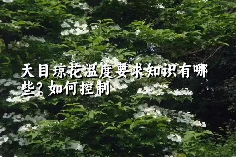 天目琼花温度要求知识有哪些？如何控制