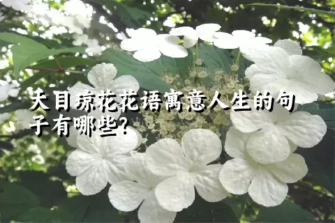 天目琼花花语寓意人生的句子有哪些？