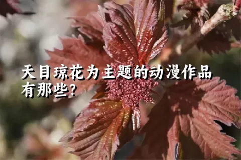 天目琼花为主题的动漫作品有那些？