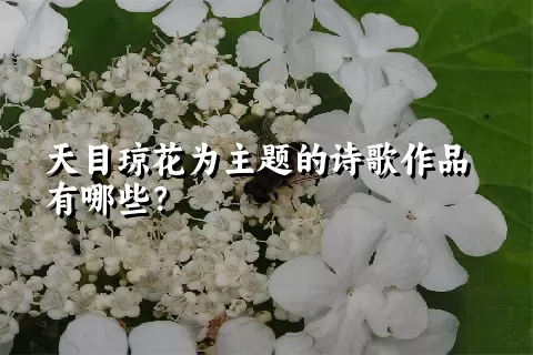 天目琼花为主题的诗歌作品有哪些？