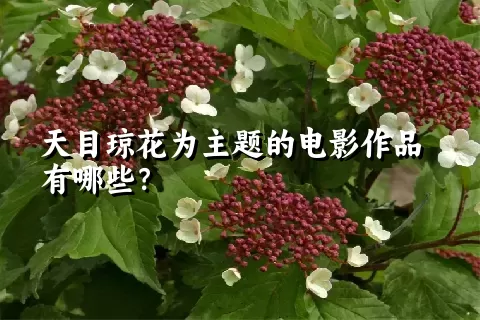 天目琼花为主题的电影作品有哪些？