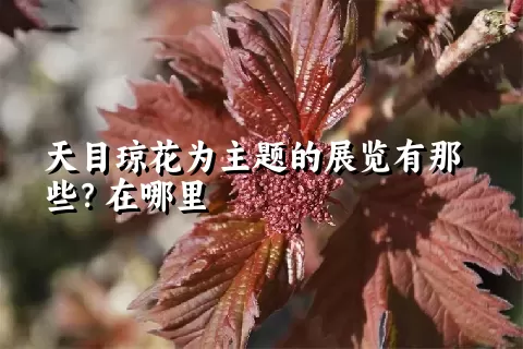 天目琼花为主题的展览有那些？在哪里