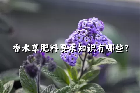 香水草肥料要求知识有哪些？