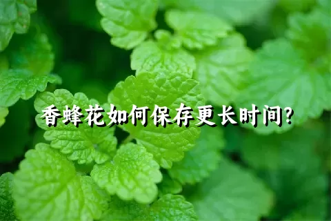 香蜂花如何保存更长时间？