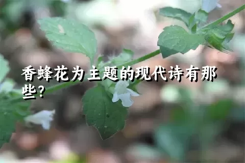 香蜂花为主题的现代诗有那些？