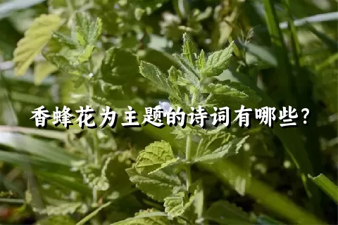 香蜂花为主题的诗词有哪些？