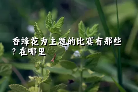 香蜂花为主题的比赛有那些？在哪里