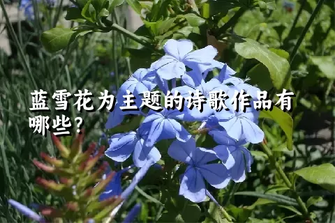 蓝雪花为主题的诗歌作品有哪些？