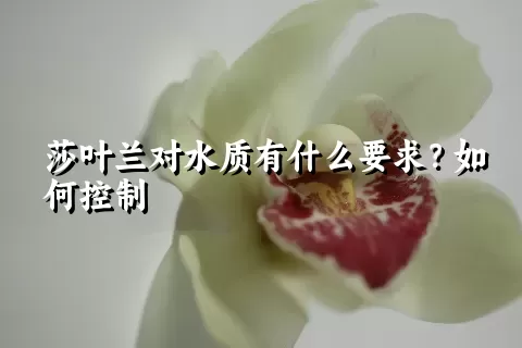 莎叶兰对水质有什么要求？如何控制