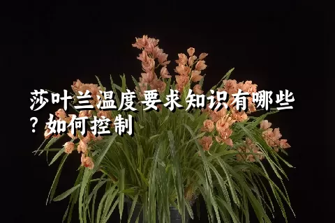 莎叶兰温度要求知识有哪些？如何控制