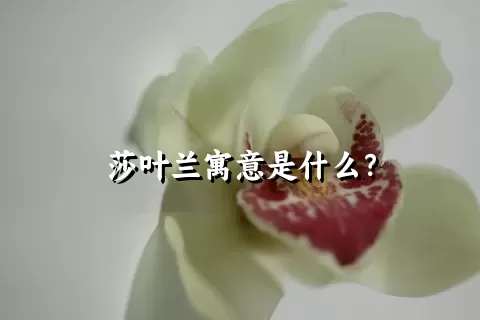 莎叶兰寓意是什么？