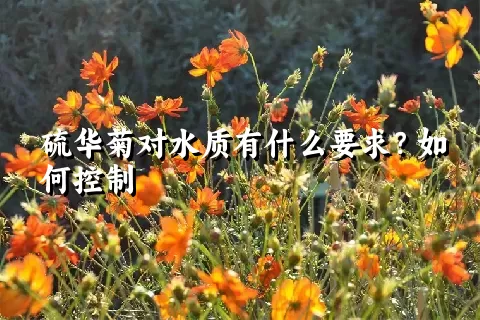 硫华菊对水质有什么要求？如何控制