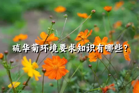 硫华菊环境要求知识有哪些？