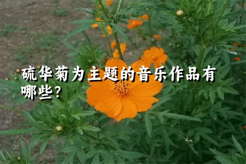 硫华菊为主题的音乐作品有哪些？