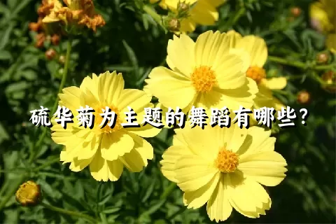 硫华菊为主题的舞蹈有哪些？