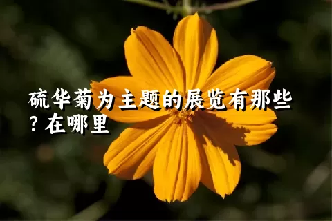 硫华菊为主题的展览有那些？在哪里