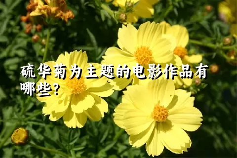 硫华菊为主题的电影作品有哪些？