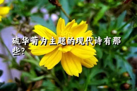 硫华菊为主题的现代诗有那些？