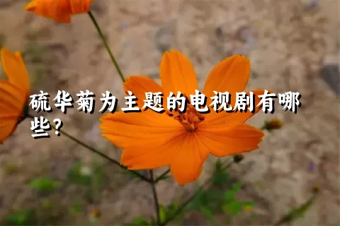 硫华菊为主题的电视剧有哪些？