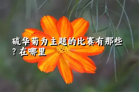 硫华菊为主题的比赛有那些？在哪里