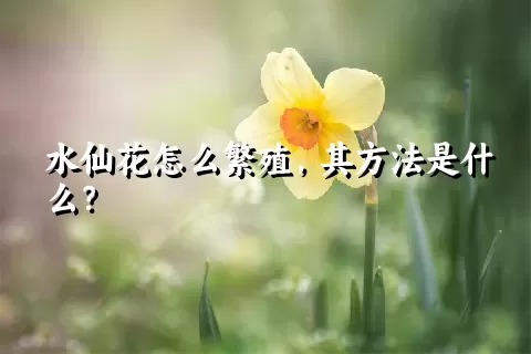 水仙花怎么繁殖，其方法是什么？