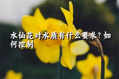 水仙花对水质有什么要求？如何控制