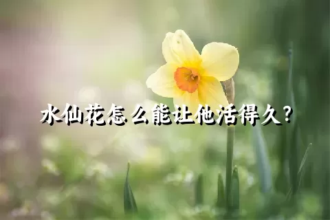 水仙花怎么能让他活得久？