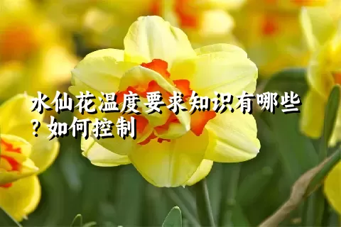 水仙花温度要求知识有哪些？如何控制