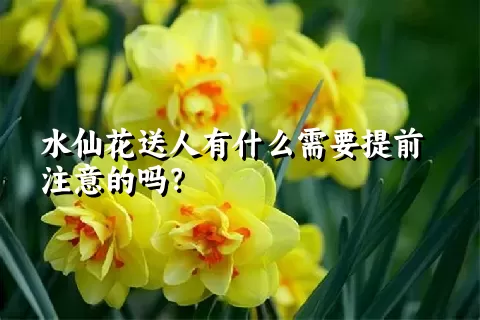 水仙花送人有什么需要提前注意的吗？