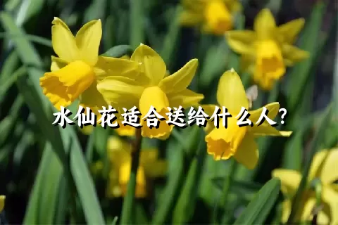 水仙花适合送给什么人？