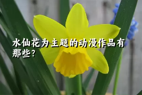 水仙花为主题的动漫作品有那些？