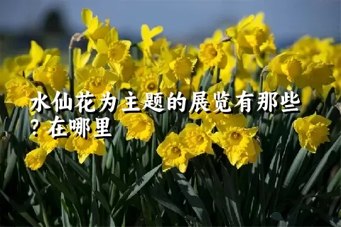 水仙花为主题的展览有那些？在哪里